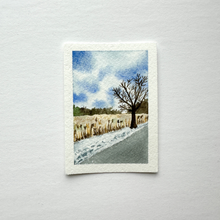 Load image into Gallery viewer, 365 Days | Day 004 - Great Island