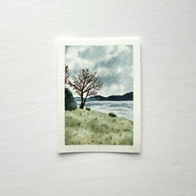 Load image into Gallery viewer, 365 Days | Day 010 - St. Edward State Park