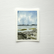 Load image into Gallery viewer, 365 Days | Day 011 - Wolfe's Neck Woods State Park