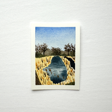 Load image into Gallery viewer, 365 Days | Day 025 - Nisqually