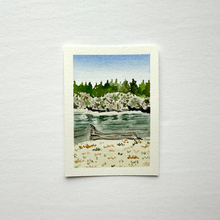 Load image into Gallery viewer, 365 Days | Day 027 - Nisqually