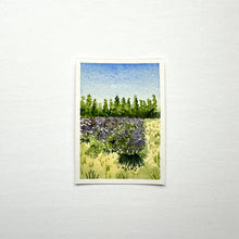 Load image into Gallery viewer, 365 Days | Day 056 - Sequim