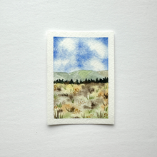 Load image into Gallery viewer, 365 Days | Day 013 - Willapa River
