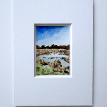 Load image into Gallery viewer, 365 Days | Day 031 - Nisqually
