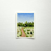 Load image into Gallery viewer, 365 Days | Day 047 - Bloedel Reserve
