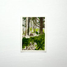 Load image into Gallery viewer, 365 Days | Day 054 - North Bend
